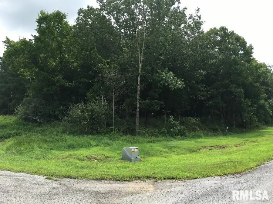 lot 287 Parrish Ridge Lane, Goreville No 2, IL 62972 - Image #2