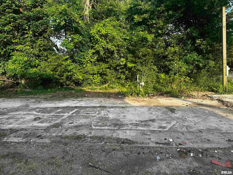 111 Midkiff Street, Harrisburg, IL 62946 - Image #2