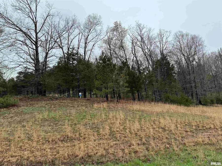 LOT 365&366 Clifty Lane, Goreville, IL 62939 - Image #3