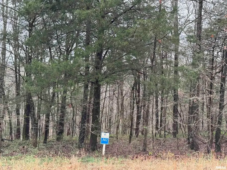 LOT 341&342 Clifty Lane, Goreville, IL 62939 - Image #3