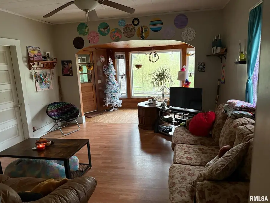 315 W Furlong Street, Carrier Mills, IL 62917-1259 - Image #3