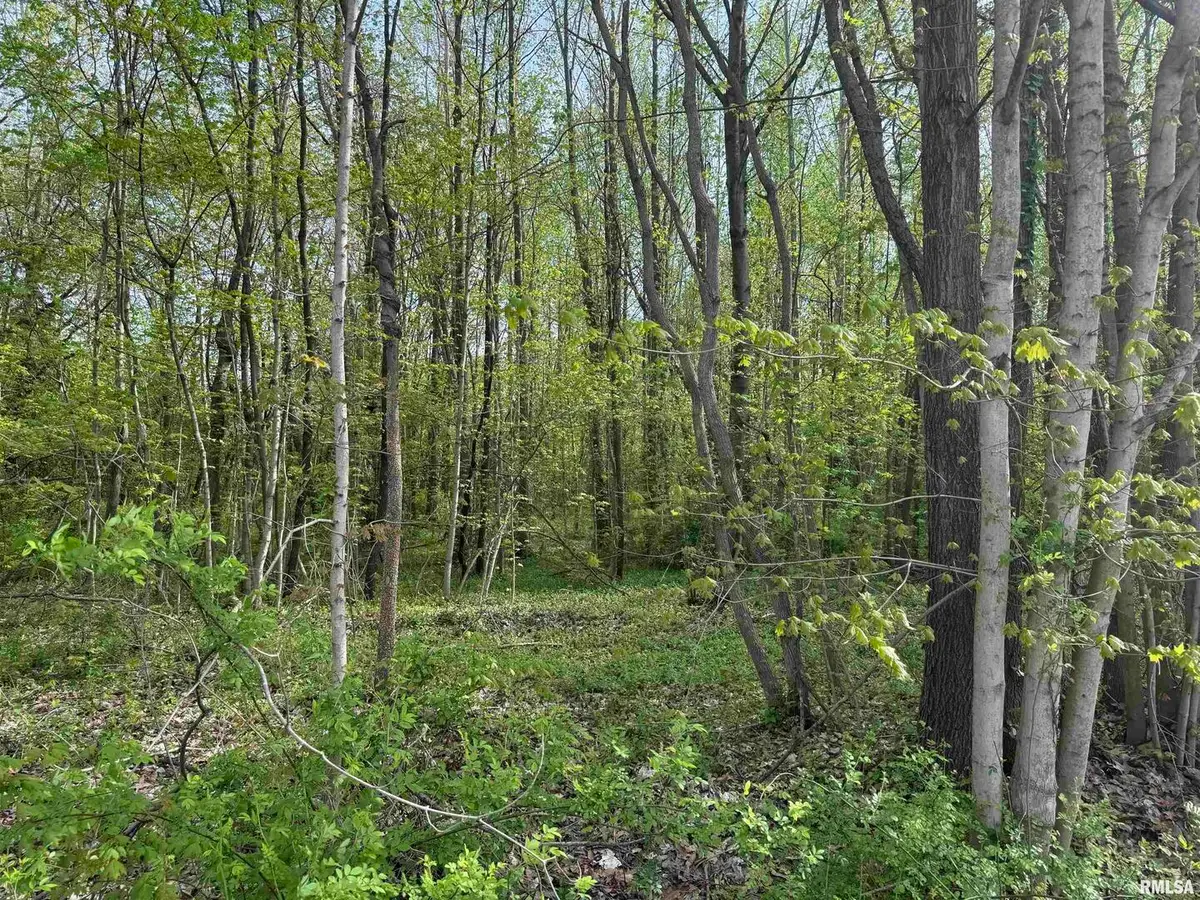 000 Sterling Street, Benton, IL 62812 - Image #1