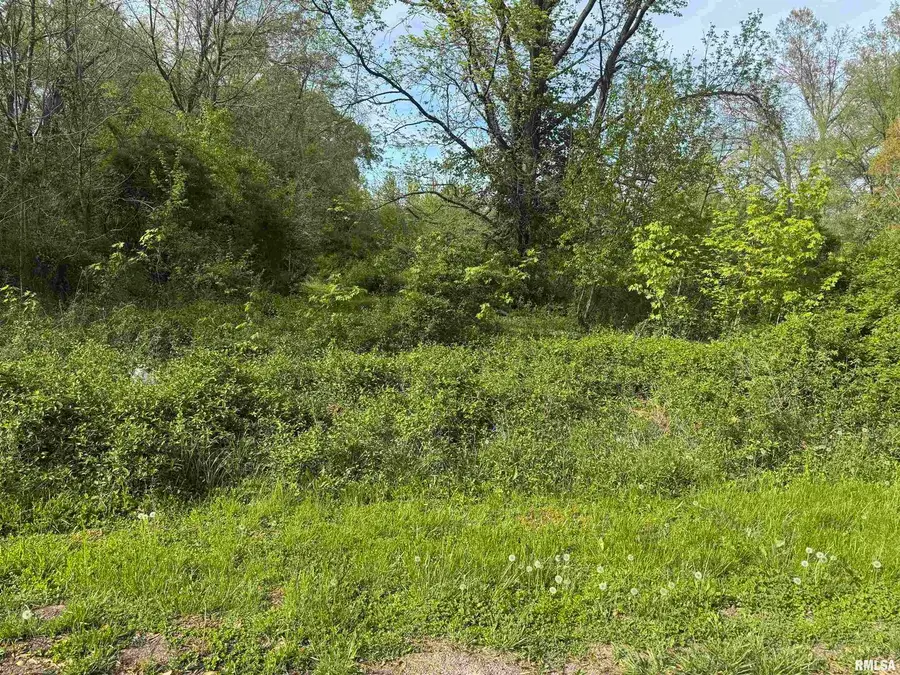 000 Sterling Street, Benton, IL 62812 - Image #3