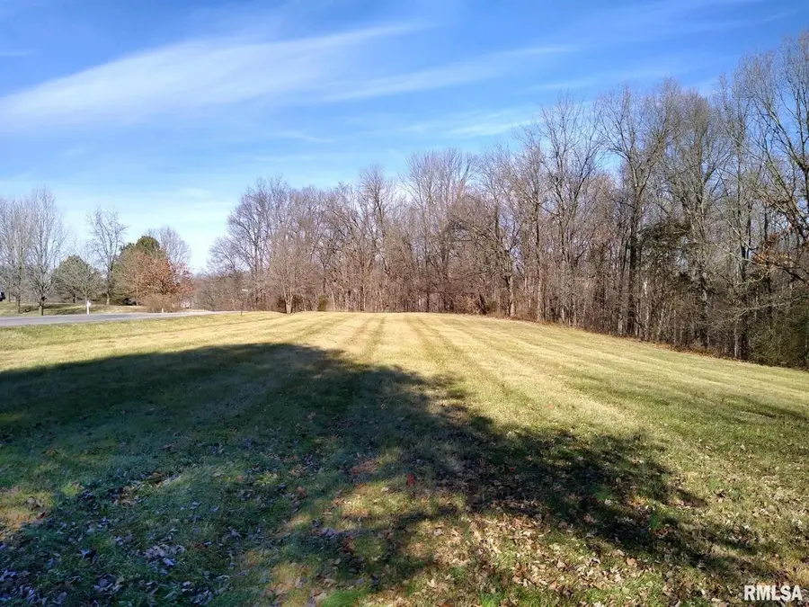 400 Walker Drive, Vienna, IL 62995 - #2