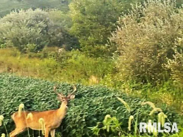 0000 Campbells Corner Road, McLeansboro, IL 62859 - Image #1