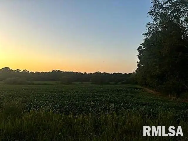0000 Campbells Corner Road, McLeansboro, IL 62859 - Image #2