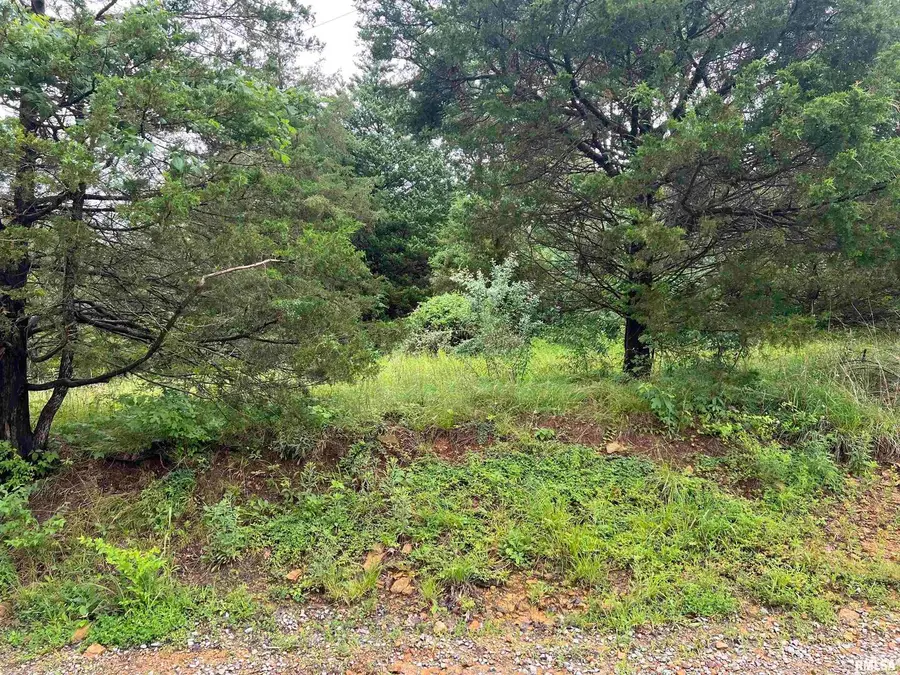 Lot 211 Cherokee Drive, Goreville, IL 62939 - Image #2