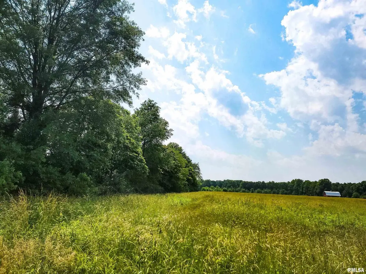 199 Hanging Rock Road, Flora, IL 62839-0000 - Image #1