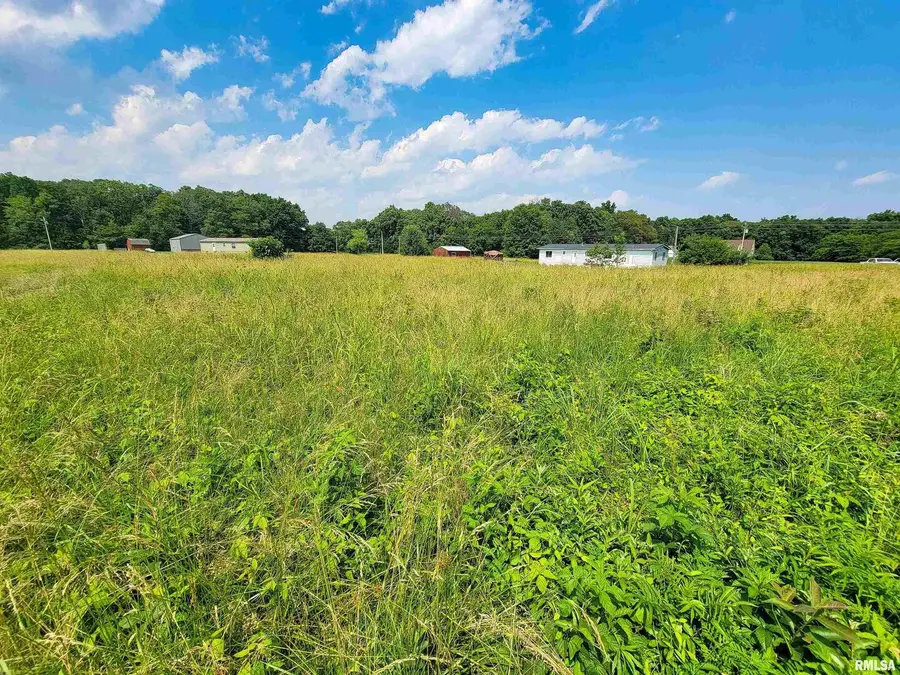 199 Hanging Rock Road, Flora, IL 62839-0000 - Image #3