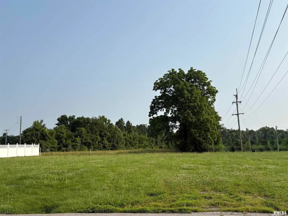 0 W Patrick Street, Marion, IL 62959 - Image #1