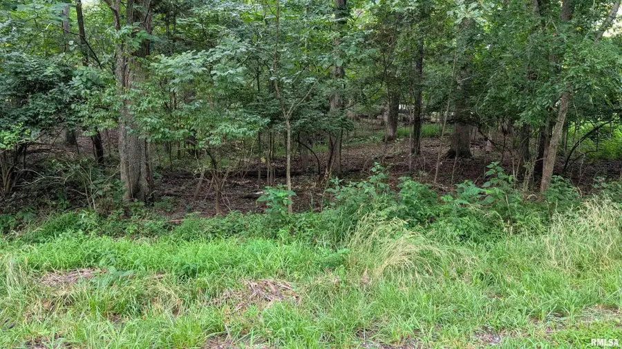 00 Lake Shore Drive South, Goreville, IL 62939 - Image #3