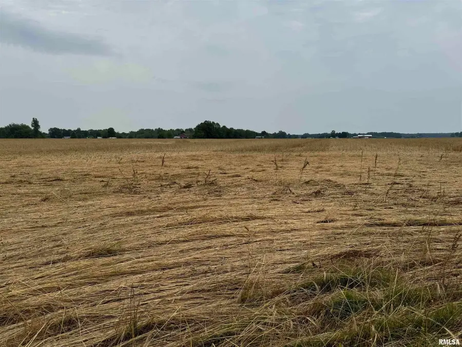 3100 Ava Road, Murphysboro, IL 62966 - Image #2