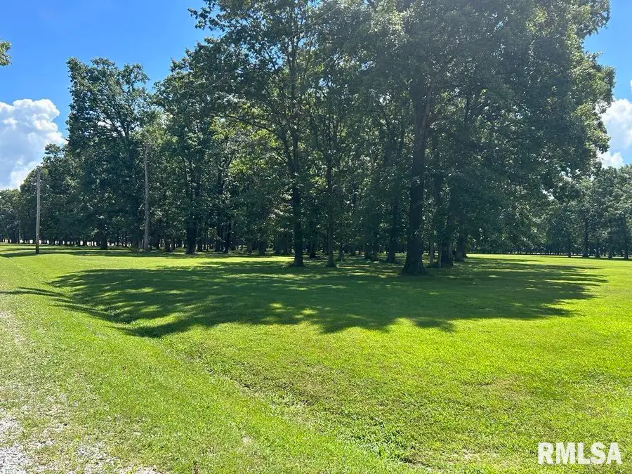 Lots 50-51 Deer Park Drive, Dix, IL 62830 - Image #2