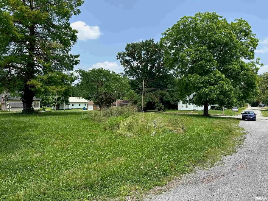 301 N Chestnut Street, Christopher, IL 62822 - Image #3