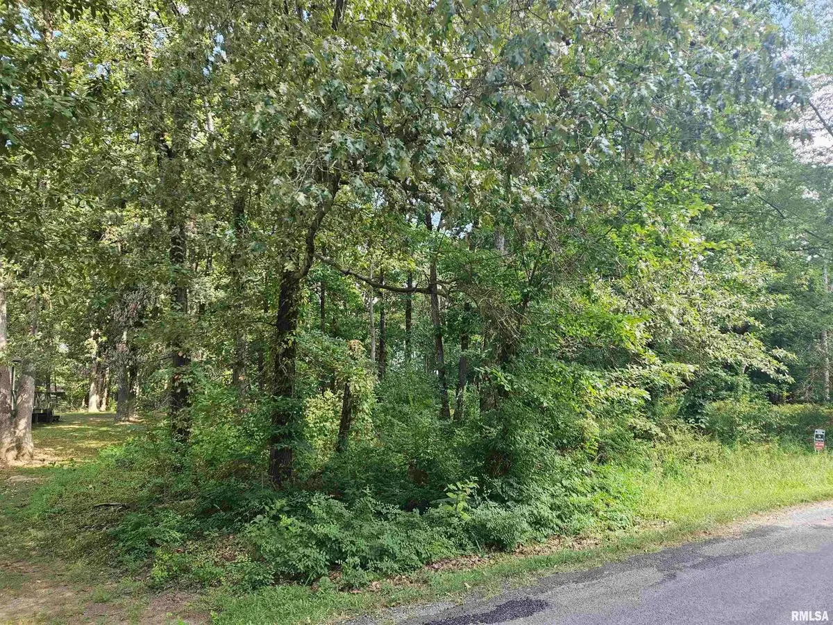 0000 White Birch Court, Benton, IL 62812 - Image #1