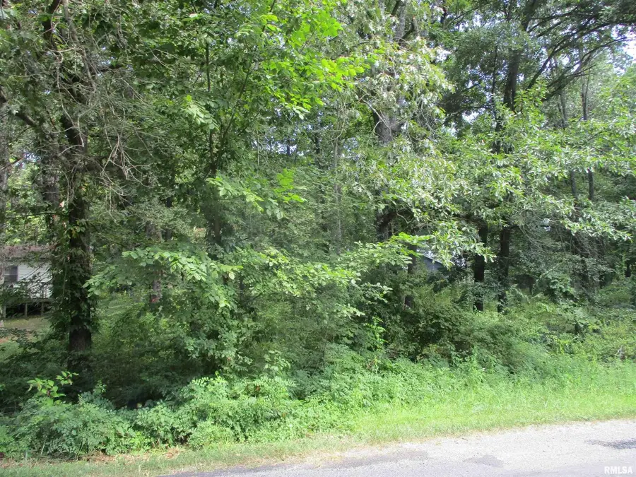 0000 White Birch Court, Benton, IL 62812 - Image #2