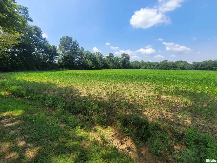 000 Jacob Street, Dahlgren, IL 62828 - Image #2