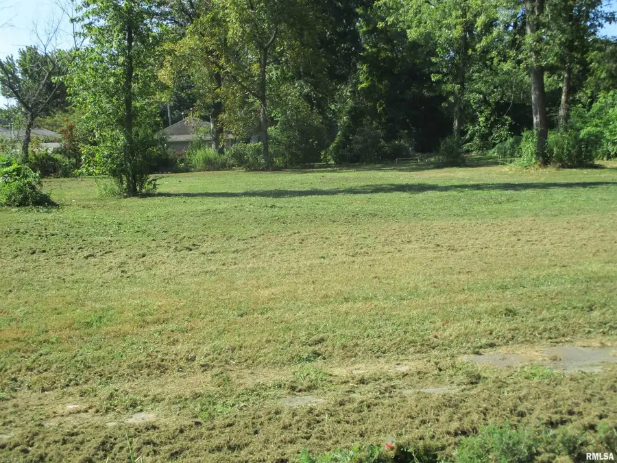 0000 Buchanan Street, Benton, IL 62812 - Image #2