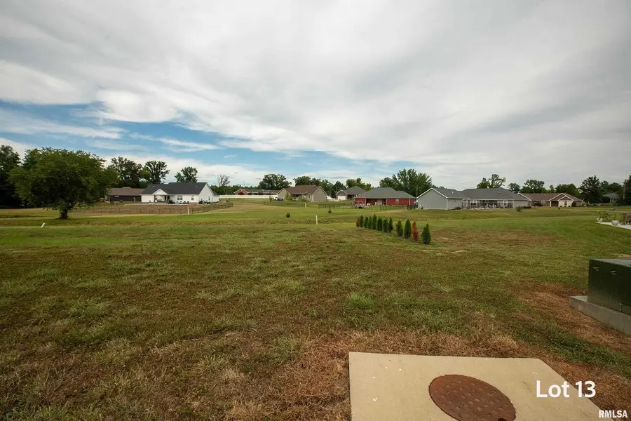 1303 Wayne Avenue, Marion, IL 62959 - Image #2