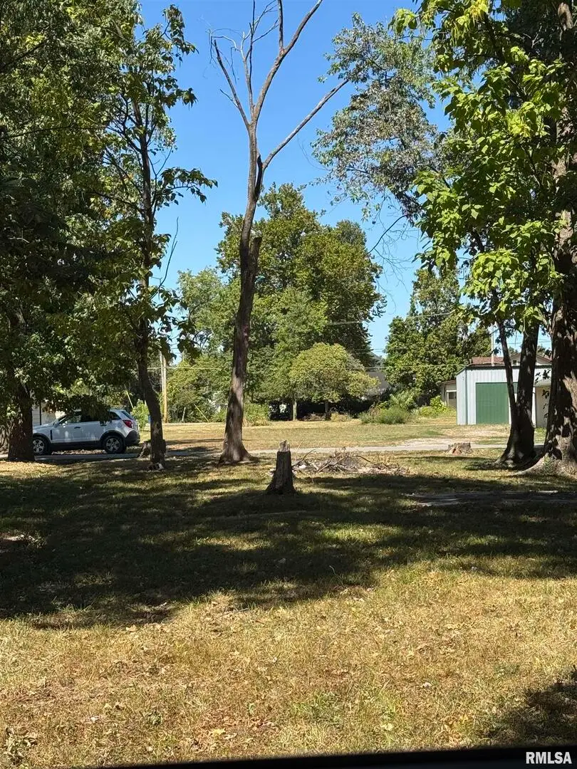 209 W Franklin Street, Du Quoin, IL 62832 - Image #2