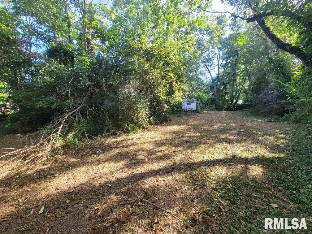 1116 S Holland Street, Harrisburg, IL 62946 - Image #1