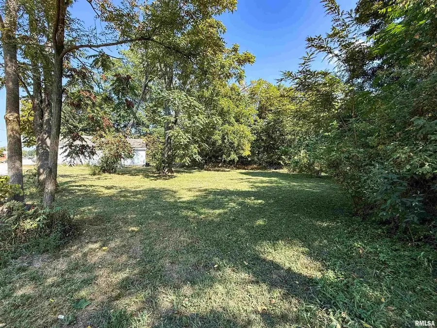 515 S Main Street, Louisville, IL 62858 - Image #3