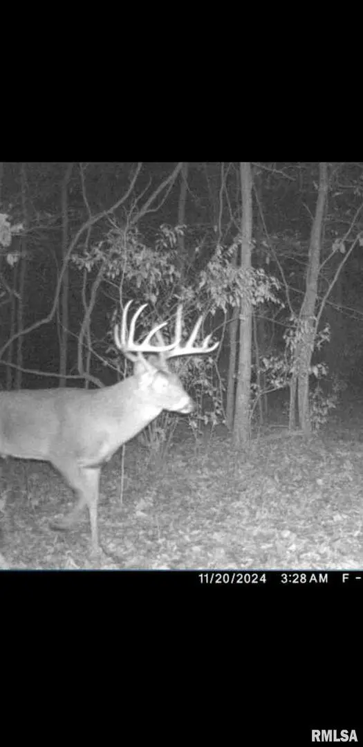 8206 Eakin Grove Road, Benton, IL 62812 - Image #2