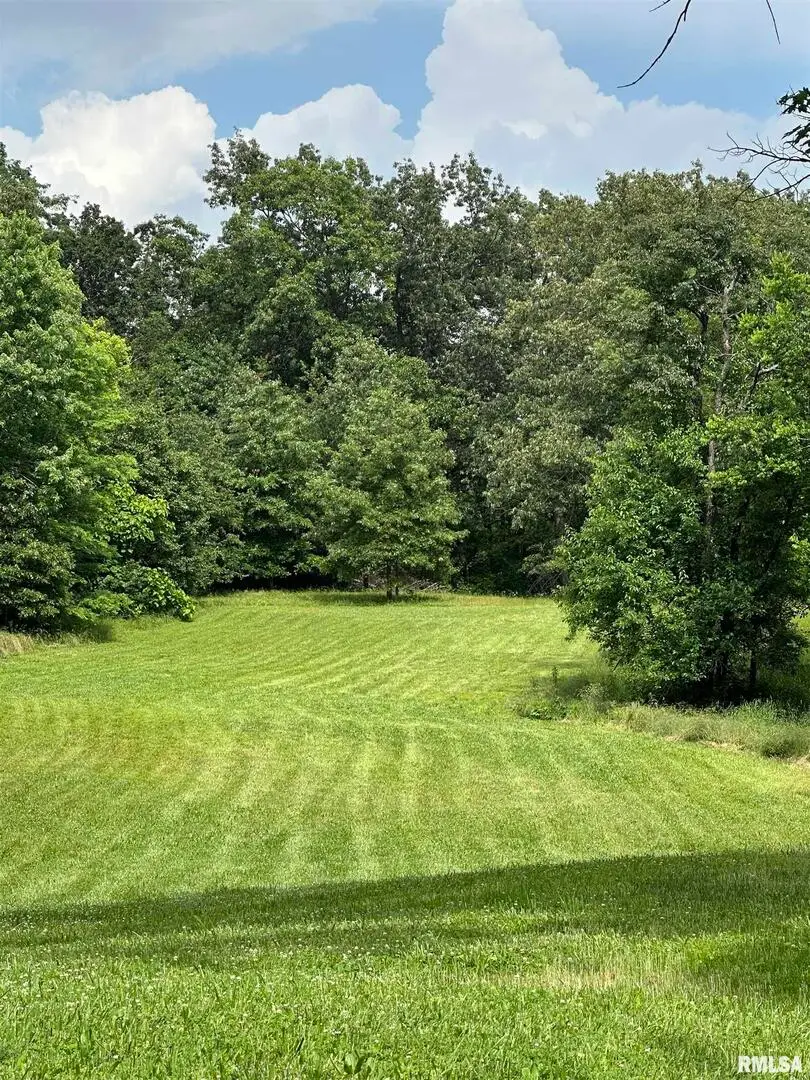 615 Liberty Road, Harrisburg, IL 62946 - Image #3