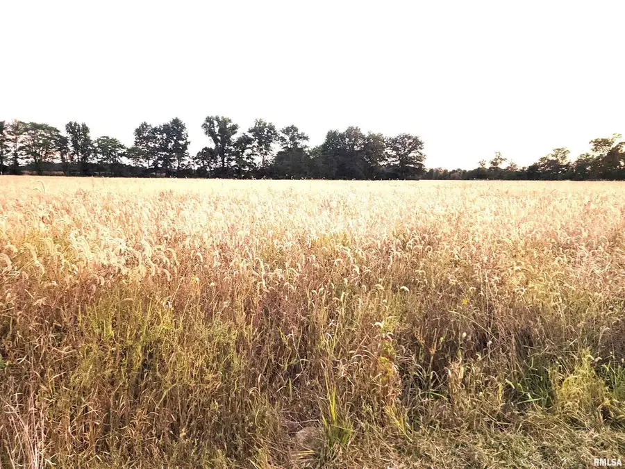 1682 E Coon Creek Road, Flora, IL 62839 - Image #3