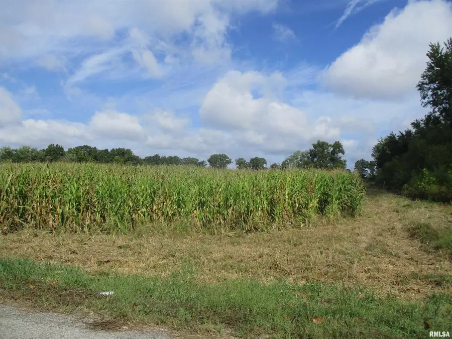 0000 N County Line Road, Ina, IL 62846 - Image #3