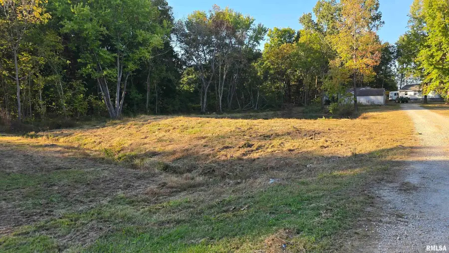 10365 E State Route 146, Buncombe, IL 62912 - #3