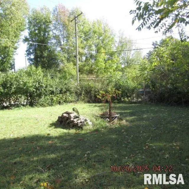 302 W Patton Street, Valier, IL 62891 - Image #3