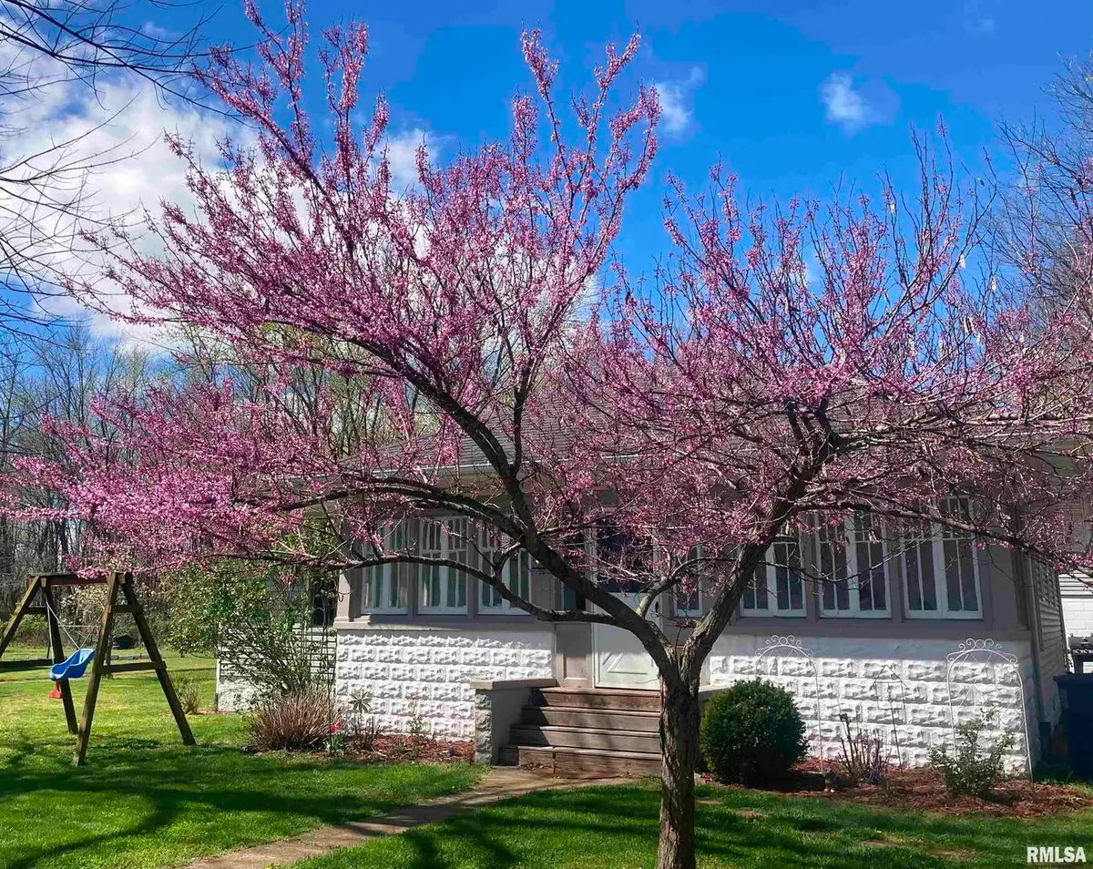 439 N Howard Street, Du Quoin, IL 62832 - Image #1