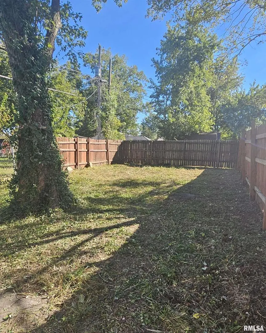 104 S Park Street, Hurst, IL 62949 - Image #3