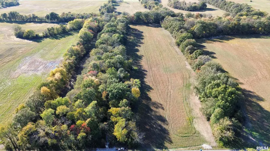 6375 S Forest Church Road, Benton, IL 62812 - Image #3