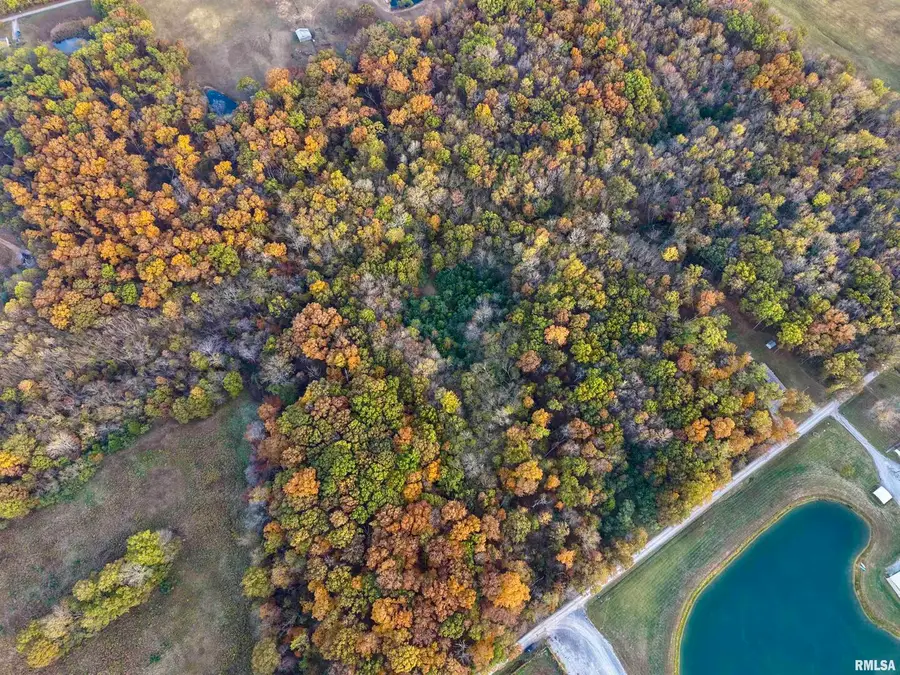 18492 Moonbeam Lane, Mount Vernon, IL 62864 - Image #2