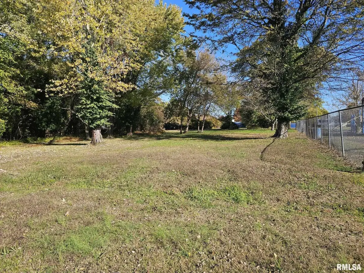 509 W 7th Street, Metropolis, IL 62960 - Image #1