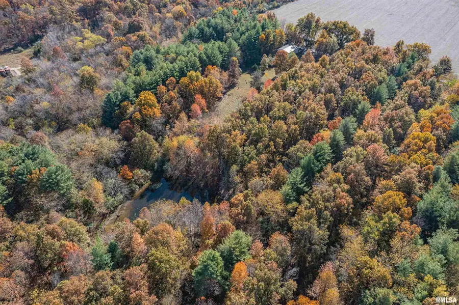 400 Block Edgewood Road, Salem, IL 62881 - Image #3