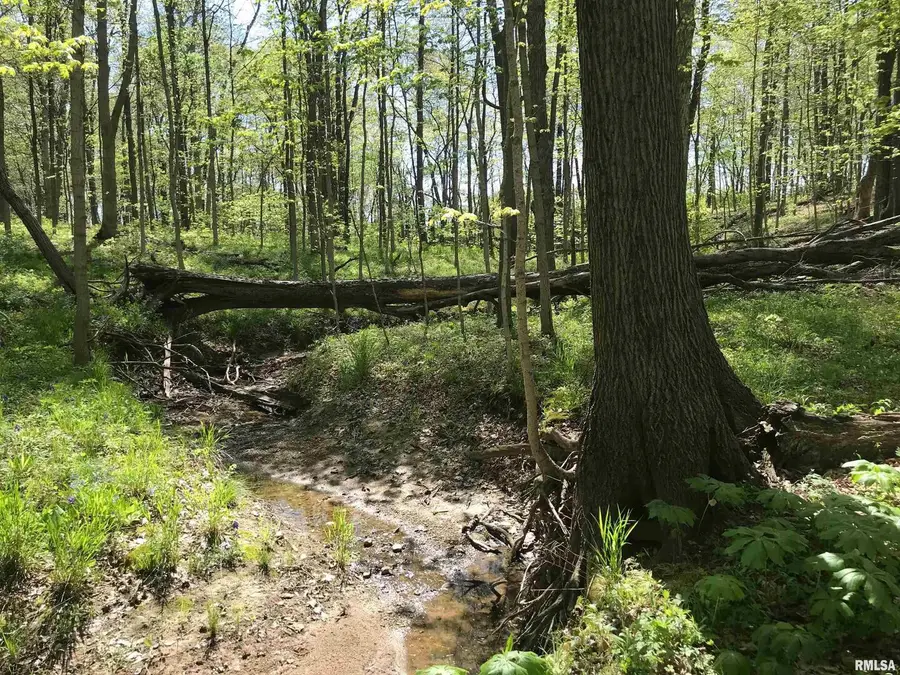 000 N 1900th Street, Dieterich, IL 62424 - Image #2