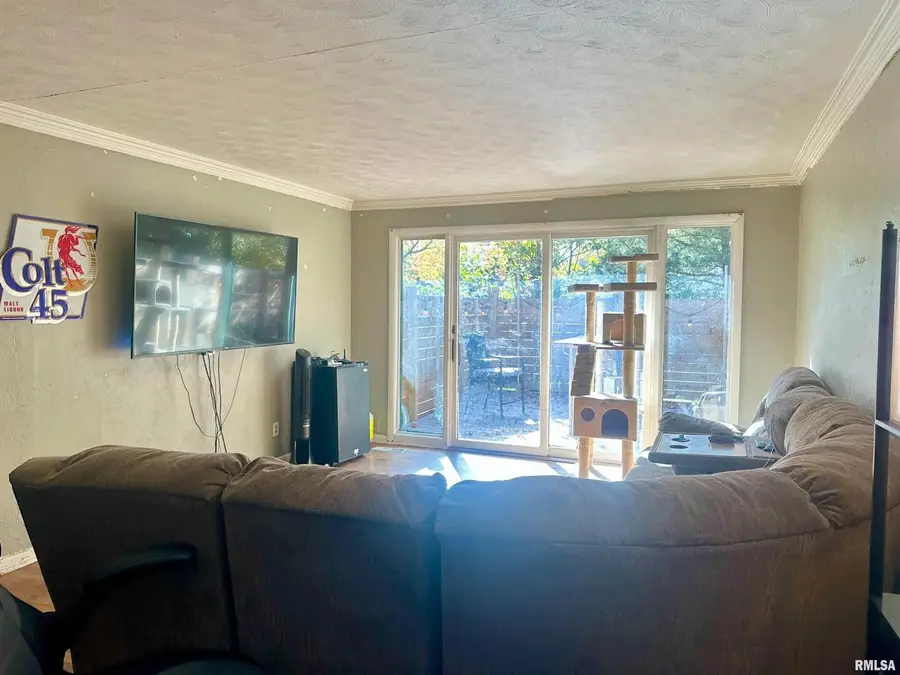 1212 W Schwartz Street, Carbondale, IL 62901 - Image #3