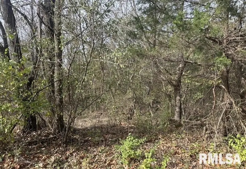 Lot 177 Sycamore Street, Goreville, IL 62939 - Image #2