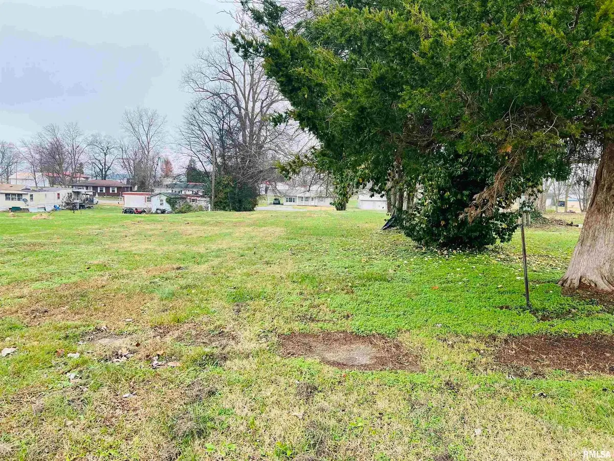 129 E Wilson Avenue, Shawneetown, IL 62984 - Image #1