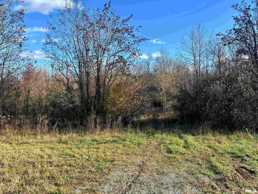 1475 State Route 127 S Highway, Jonesboro, IL 62952 - Image #2