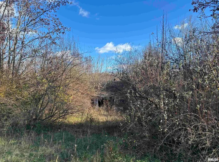 1475 State Route 127 S Highway, Jonesboro, IL 62952 - Image #3