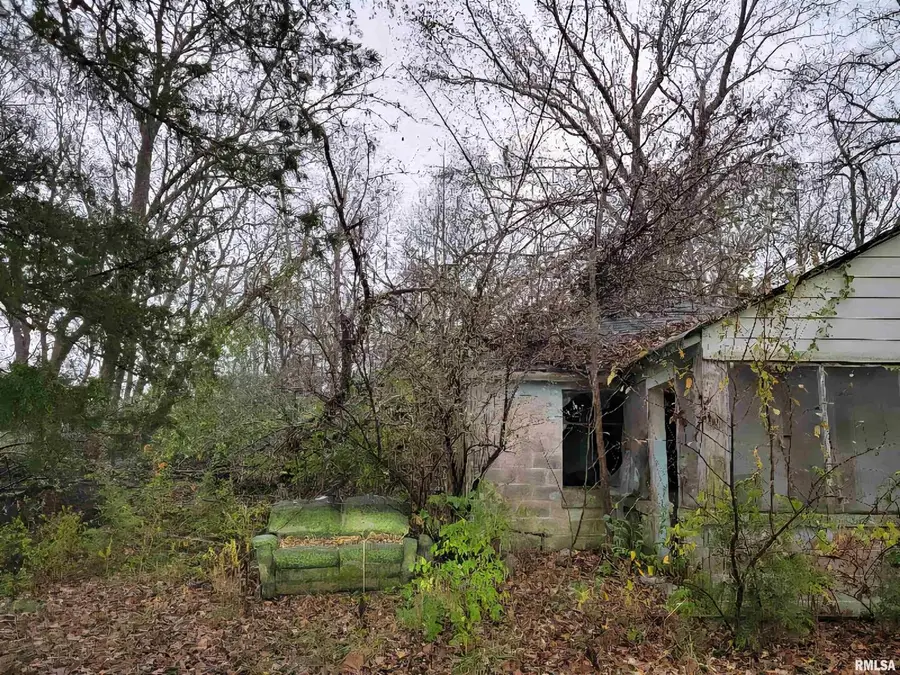 947 E Cole Street, Du Quoin, IL 62832 - Image #2