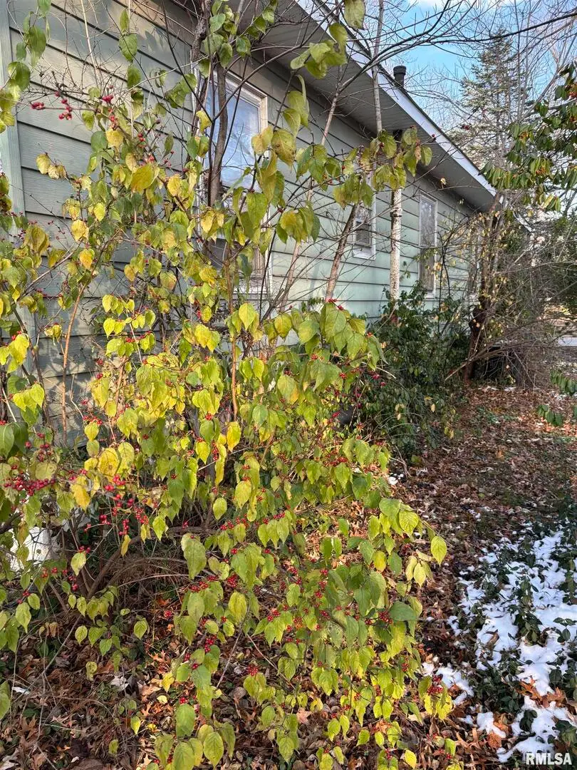 209 N Duquoin Street, Benton, IL 62812 - Image #2