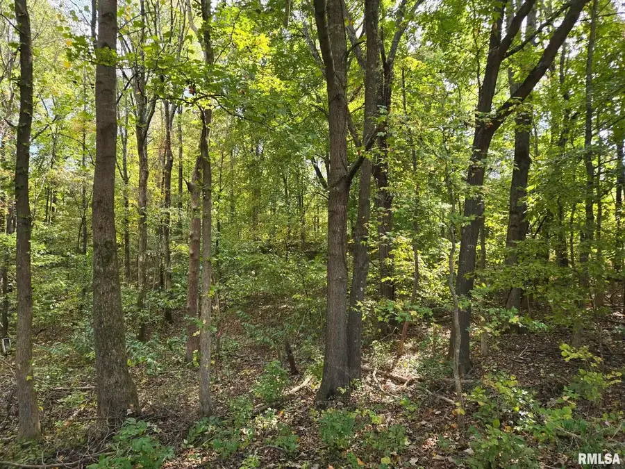 TBD State Highway 145 S Highway, Metropolis, IL 62960 - Image #2