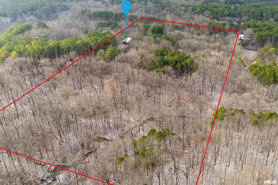 1201 Pine Ridge Lane, Makanda, IL 62958 - Image #3