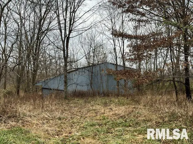 703 Buchanan Road, Iuka, IL 62849 - Image #2