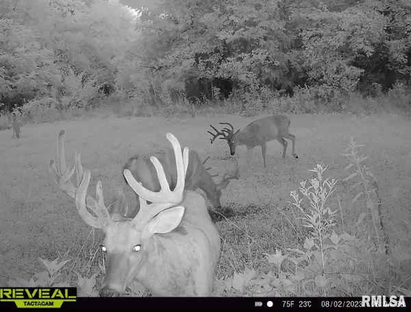 000 County 7 Highway, Cisne, IL 62823